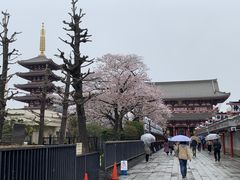 悟空さんの浅草寺への投稿写真1