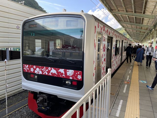 �A���n��Ԃ��̂P_�ɓ��}���c�w