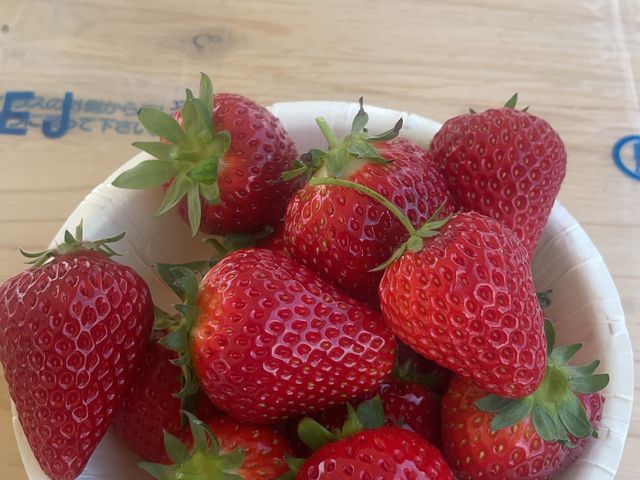 �R�O���H�ׂ���_����������