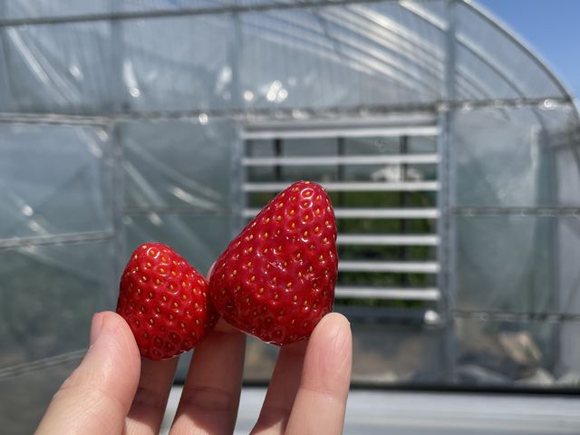 �O�ŐH�ׂ�ƍX�ɔ�������^_^_��c�_��(2024�N�V�[�Y���x��)