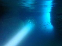 Ђ܂肳Nature Guide Double Rainbow lC`[KCh@_uC{[ւ̓eʐ^1