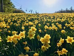 ZUNDAM̋{鑠ڂՂւ̓eʐ^2