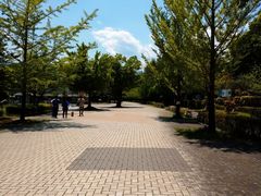 邳̃\gVт̐Xւ̓eʐ^1