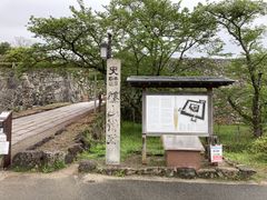 元盛岡の梶田さんの篠山城跡への投稿写真1