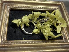 WeB[L^J~@^e}`X̎ʐ^1