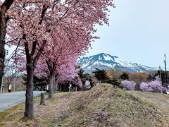 勝ちゃんさんの岩木山（津軽富士）への投稿写真1