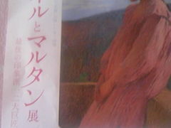 �T���v�������SOMPO���p�قւ̓��e�ʐ^1