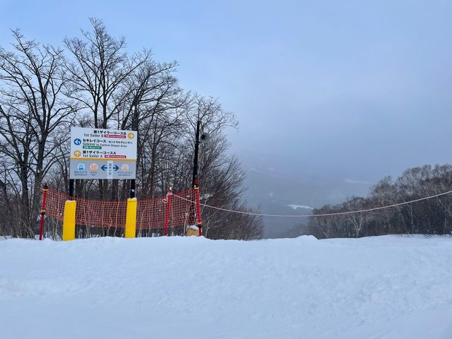 ���C�U�[�R�[�XB�͂����܂���ł����B_���䍂���X�L�[��