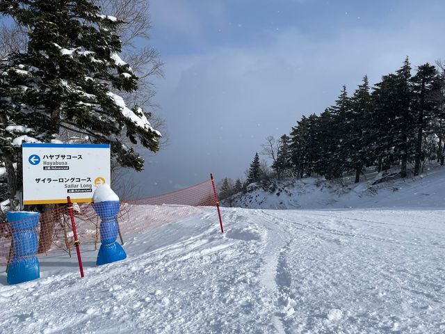 ��̕��͎኱�R�[�X���������ł��B_���䍂���X�L�[��