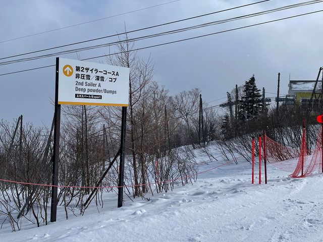 �Q�����f_���䍂���X�L�[��