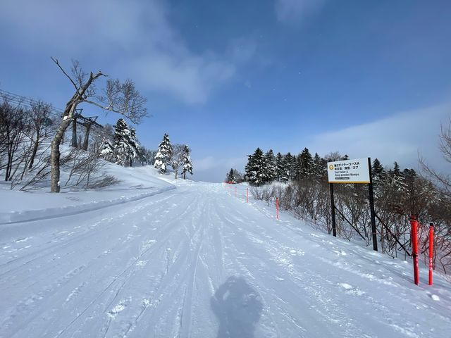 �ϐႪ�����A�Ꮏ�����Q_���䍂���X�L�[��