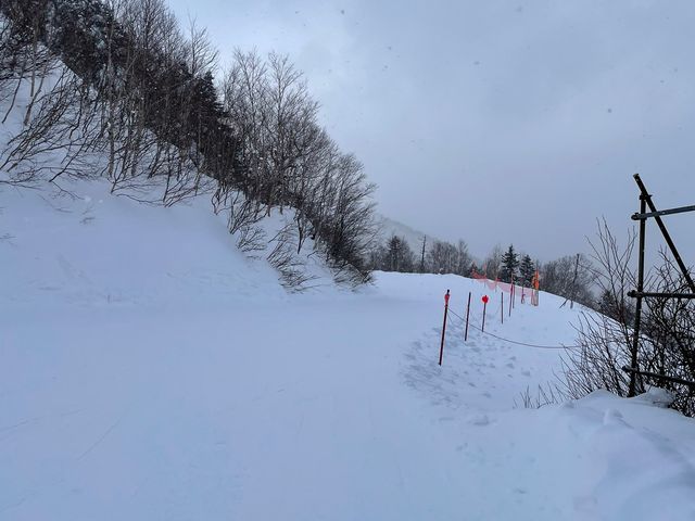 �R�[�X_���䍂���X�L�[��