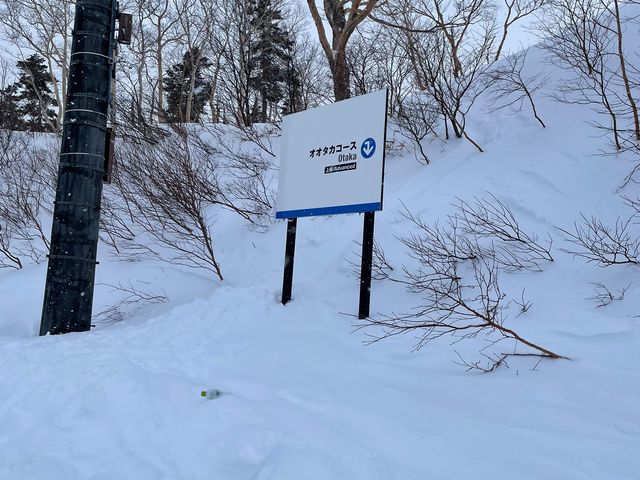 �R�[�X�ē�_���䍂���X�L�[��