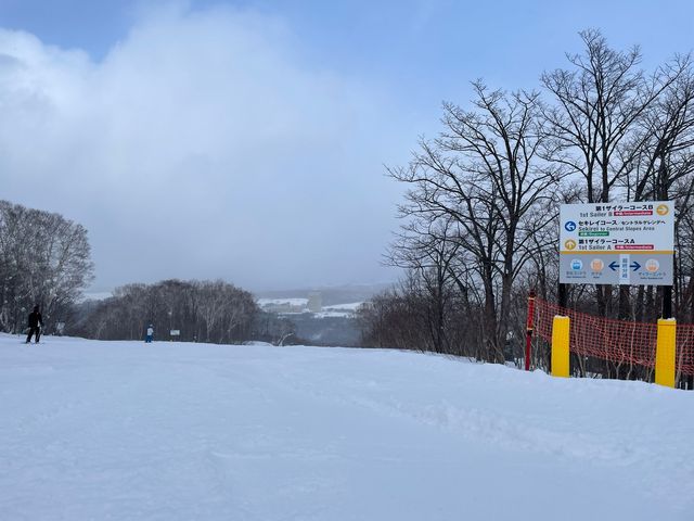 ��������Ă��܂����B_���䍂���X�L�[��