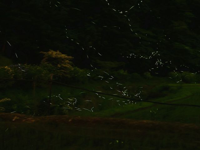 ܂񂳂̂炬ق̗iVEuEԉnj̓eʐ^6