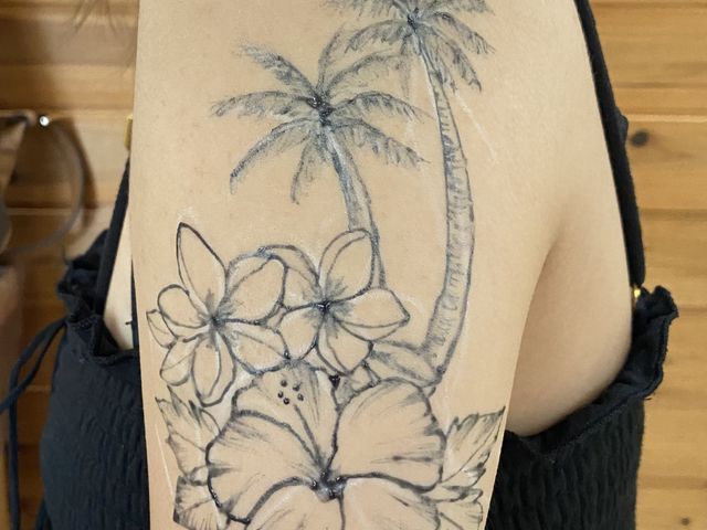 �n�C�ƃ��V�̖؂������Ă��炢�܂���_�{�Ó��v���o�A�[�g