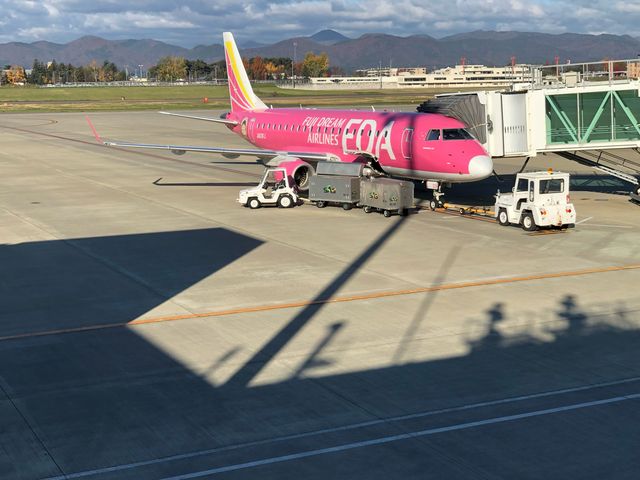 �����ւœ���������A���т܂�q�����̓h���@�ɑ���_����ĉԊ���`�ē���