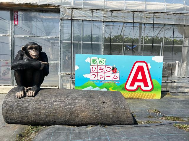 �A�j�}������_���c�������t�@�[��