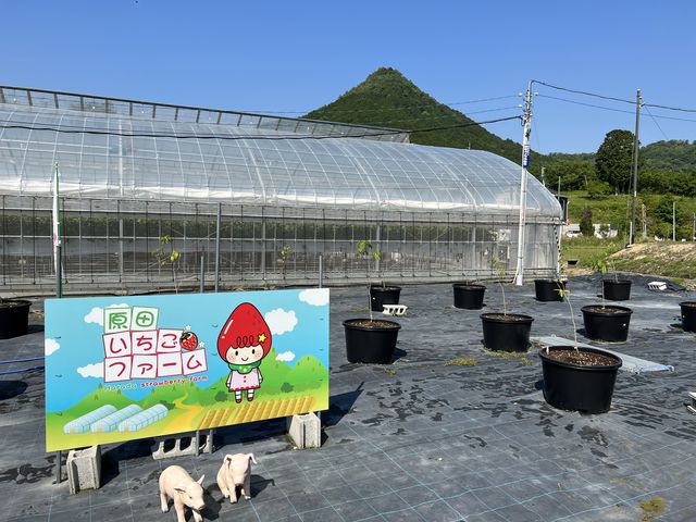 �A�j�}������_���c�������t�@�[��