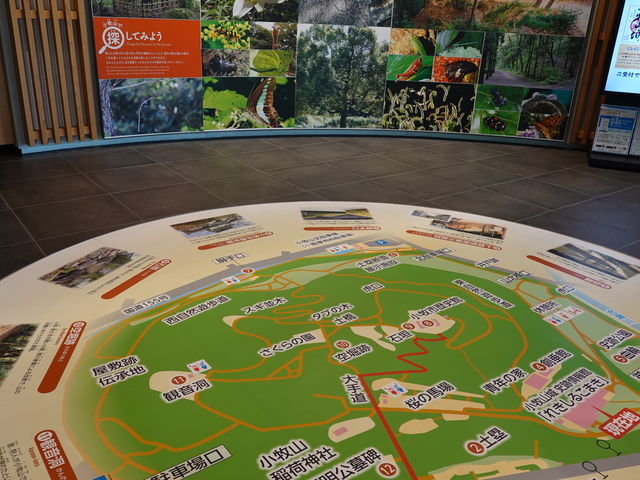 �ٓ��̈ē�_���q�R��j�Տ���