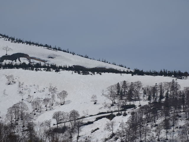 �c��̎c�镗�i_�c��X�L�[��