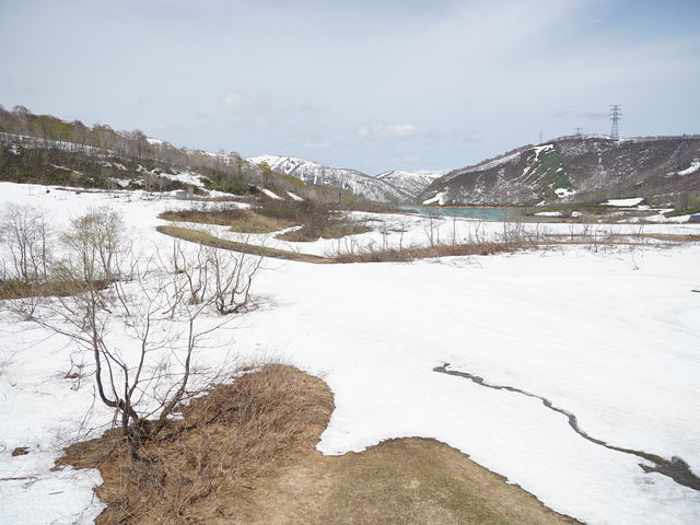 �������Ƃ���̓W�]����_�c��X�L�[��