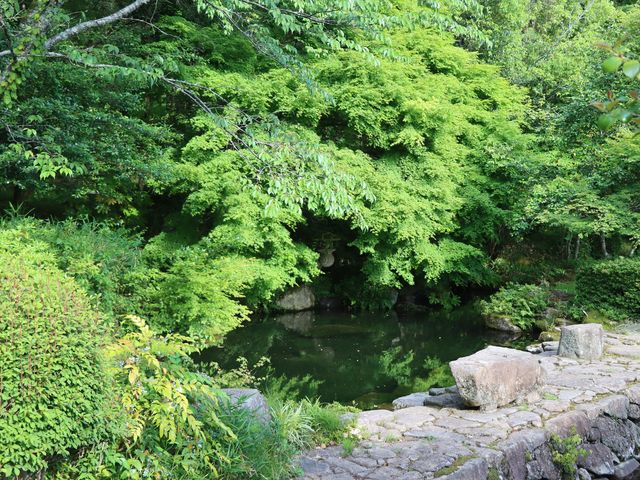 ����s�@�����ʂ�_�����ʂ�