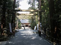 イチミヤドラオさんの椿大神社への投稿写真1