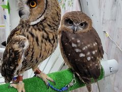 Hl̂ρ[@tNEJtFr܂ւ̓eʐ^1