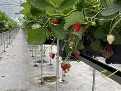 肳Ƃ̂񂢂t@[ւ̓eʐ^1