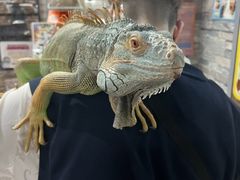 L̂ρ[@tNEJtFr܂ւ̓eʐ^1