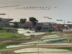 Ƃ񂳂̓̒Icւ̓eʐ^1