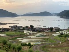 Ƃ񂳂̓̒Icւ̓eʐ^2