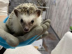 䂫񂳂̂ρ[@tNEJtFr܂ւ̓eʐ^1