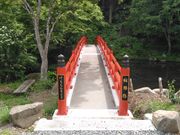 ������񂳂�̑הJ���̓��e�ʐ^1