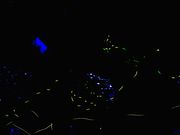 ܂񂳂̂炬ق̗iVEuEԉnj̓eʐ^1