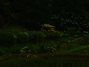 ܂񂳂̂炬ق̗iVEuEԉnj̓eʐ^5