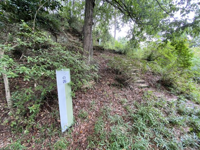 �y�l���y����̍��z��Ղ̓��e�ʐ^5