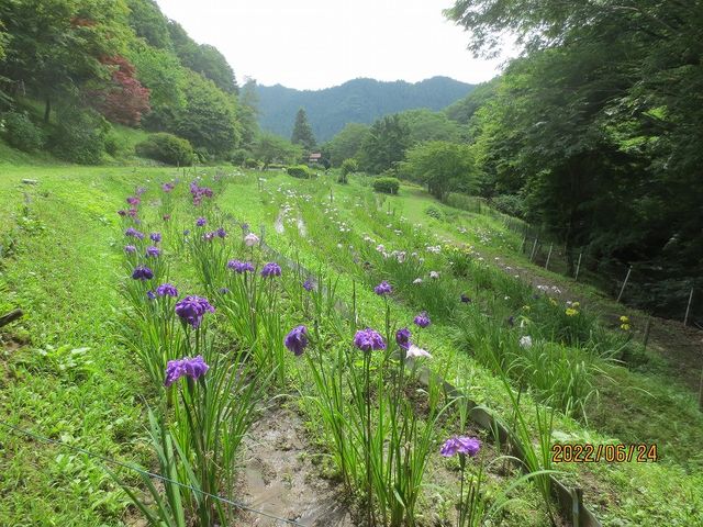 �Ԃ��傤�ԉ�