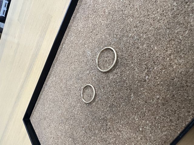 �����O�̏��_AIGIS��t�X