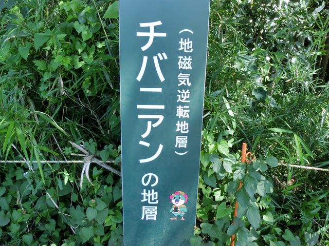 `ojAint]nwj_`ojAint]nwj