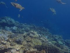 ̂Ԃ낤̃RY~bNA[Xւ̓eʐ^1