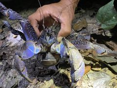 �I�[�N�����Pacha Beach -�p�`���r�[�`-�ւ̓��e�ʐ^1