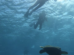 ͂ȂNEWSߔeXւ̓eʐ^1