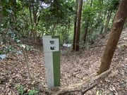 �y�l���y����̍��z��Ղ̓��e�ʐ^3