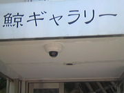 Tv̓Cmw}TCGX~[WA̓eʐ^4