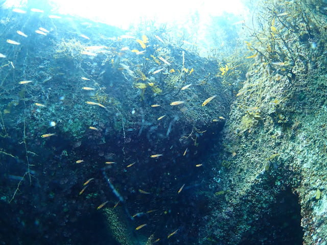 �L���L��_�t���[�E�F�C