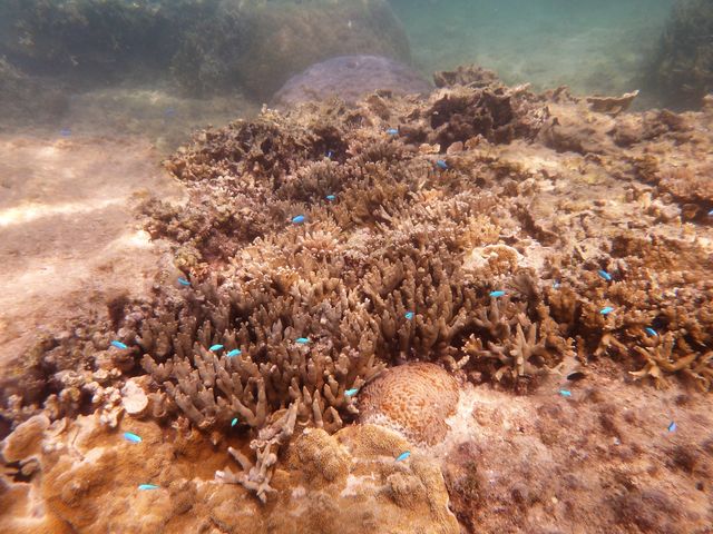 �X��Ƃ�������_��g�ݐؐ�墊C�̗V�я��@�Ȃ��䂭���