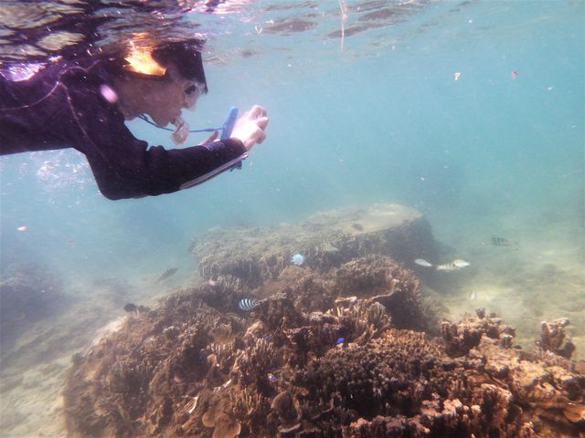 �q��_��g�ݐؐ�墊C�̗V�я��@�Ȃ��䂭���