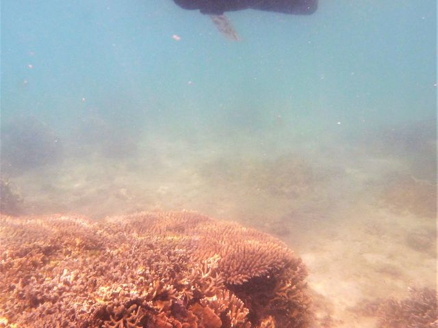 ��_��g�ݐؐ�墊C�̗V�я��@�Ȃ��䂭���